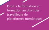 The Revue des Plateformes Numériques publishes its very first issue!