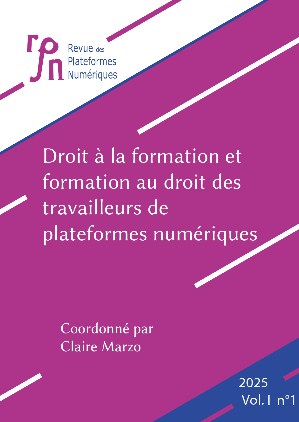 You are currently viewing La Revue des Plateformes Numériques publie son tout premier numéro !