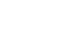 Logo HR Excellence in Research