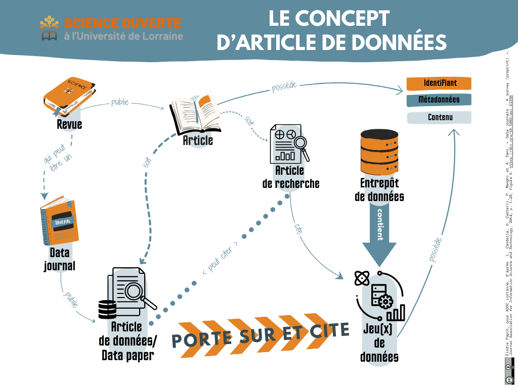 Plan du concept d'article de données